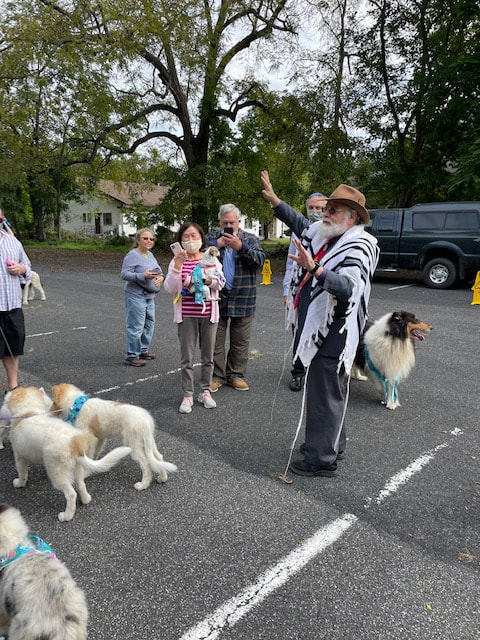 Big & small dogs at Congregation Agudas Israel Bark Mitzvah Newburgh NY
